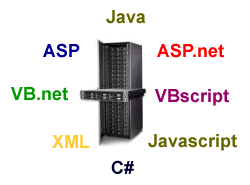 Software developers in Singapore